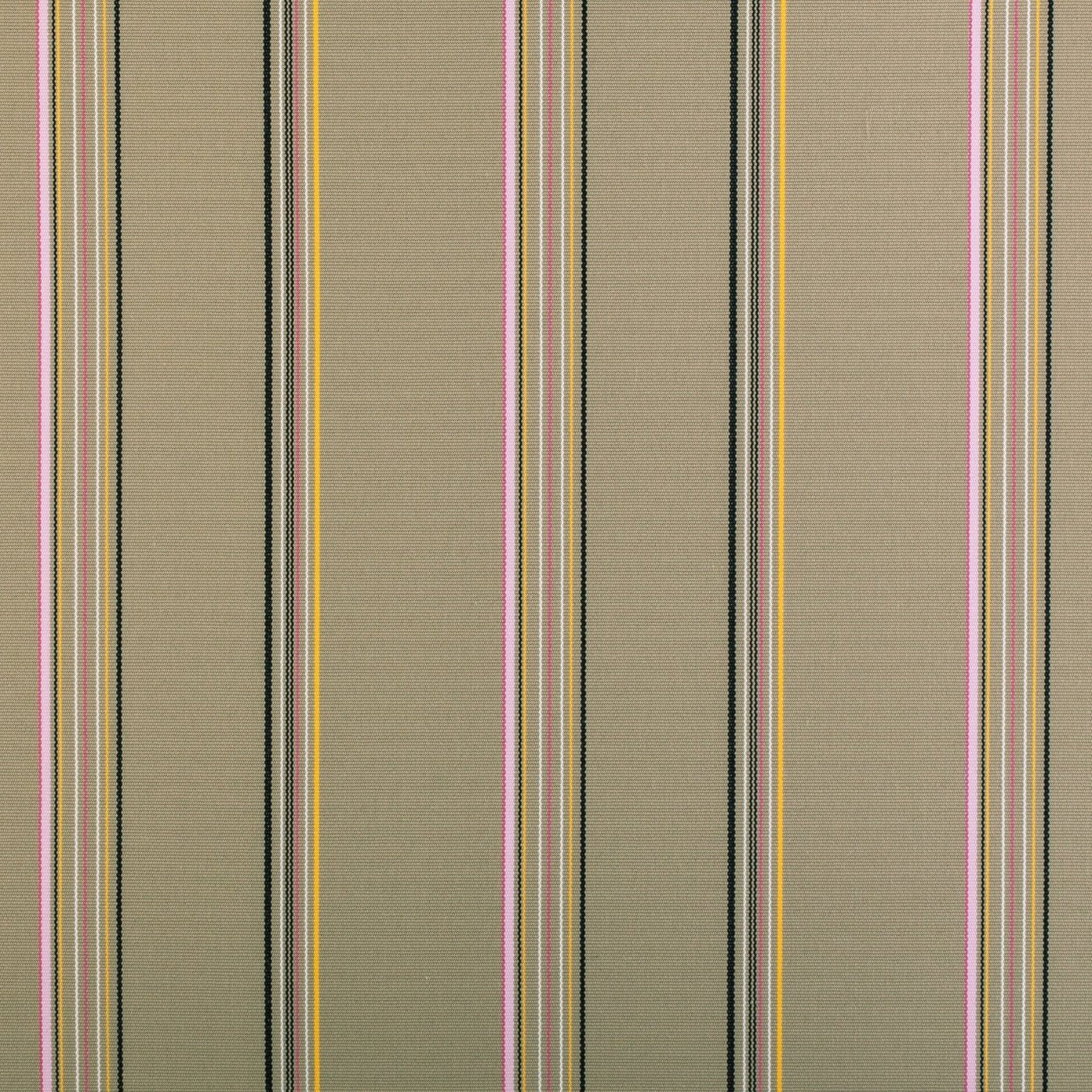 Pavillion Sample