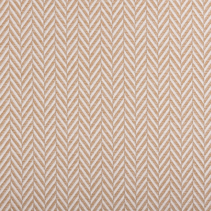 Palmero Sample