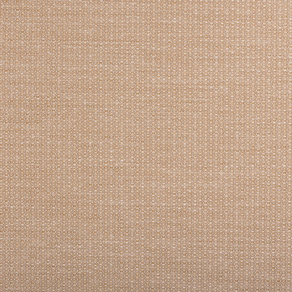 Siena Sample