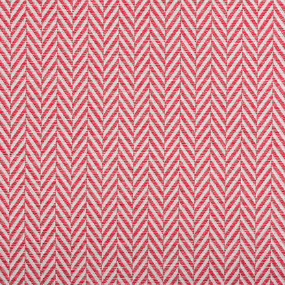 Palmero Sample